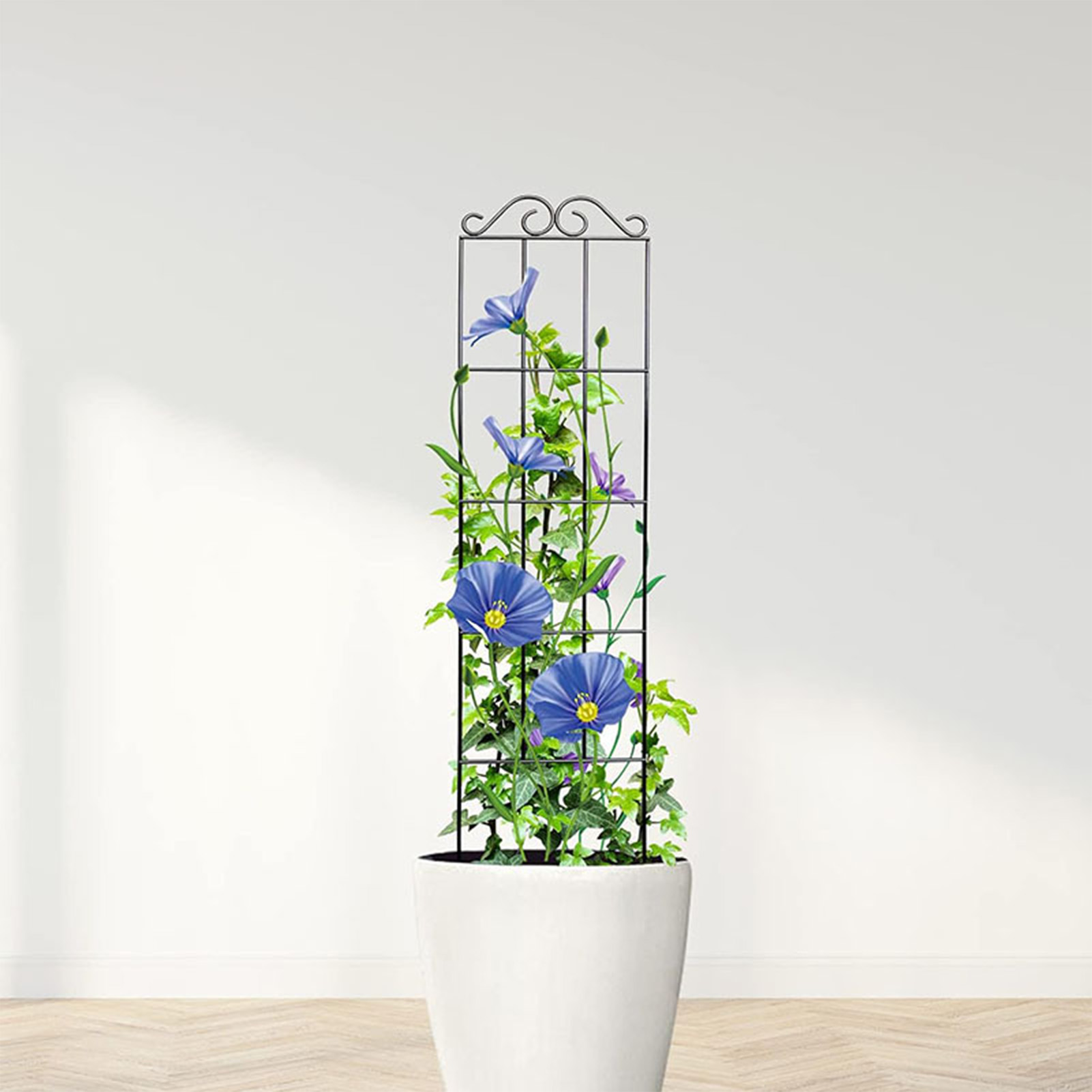 Florist Supply Bulk - Kratownica ogrodowa Trwała kratownica ogrodowa Roślina
