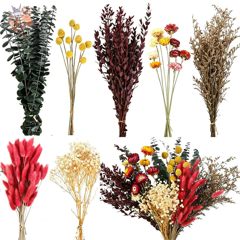 Zestaw suszonych kwiatów, 7 ga – Florist Supply Bulk recenzja i cena
