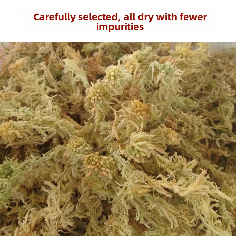 Sphagnum mechowy suszony klasy – Preserved Moss Sheet recenzja i cena